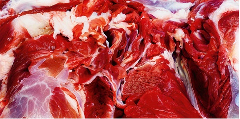 Марк Куинн из серии "Живопись плоти" - огромные холсты с изображением свежего мяса. 2012 г.
