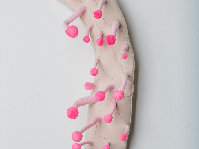 5f4f4237-dfe6-4499-bb8b-bb7578037fbf_5f68038b-be66-4048-ae76-9f580190fa6d