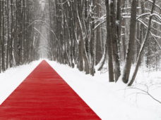 8(c)Никита_Субботин_3000