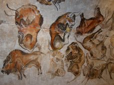 Altamira_bisons