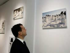 Дмитрий Медведев и искусство