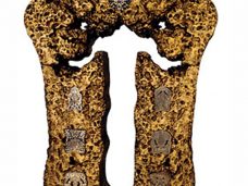 Анатолий Осмоловский. Хлеба