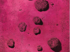 Ив Кляйн «Розовая синева», 1960 год; мировой рекорд стоимости произведений худжника, 27 июня 2012 в Лондоне - $36,779,111; ₤23,561,250