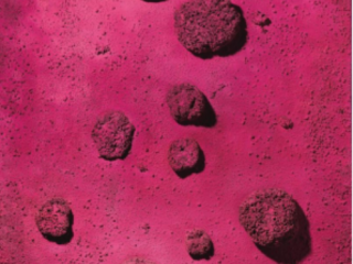 Ив Кляйн «Розовая синева», 1960 год;  мировой рекорд стоимости произведений худжника, 27 июня 2012 в Лондоне - $36,779,111;  ₤23,561,250