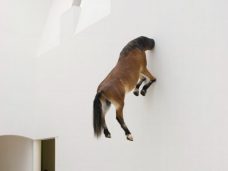 Маурицио Каттелан