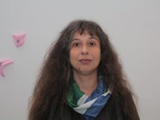 Куратор, арт-критик Ирина Кулик
