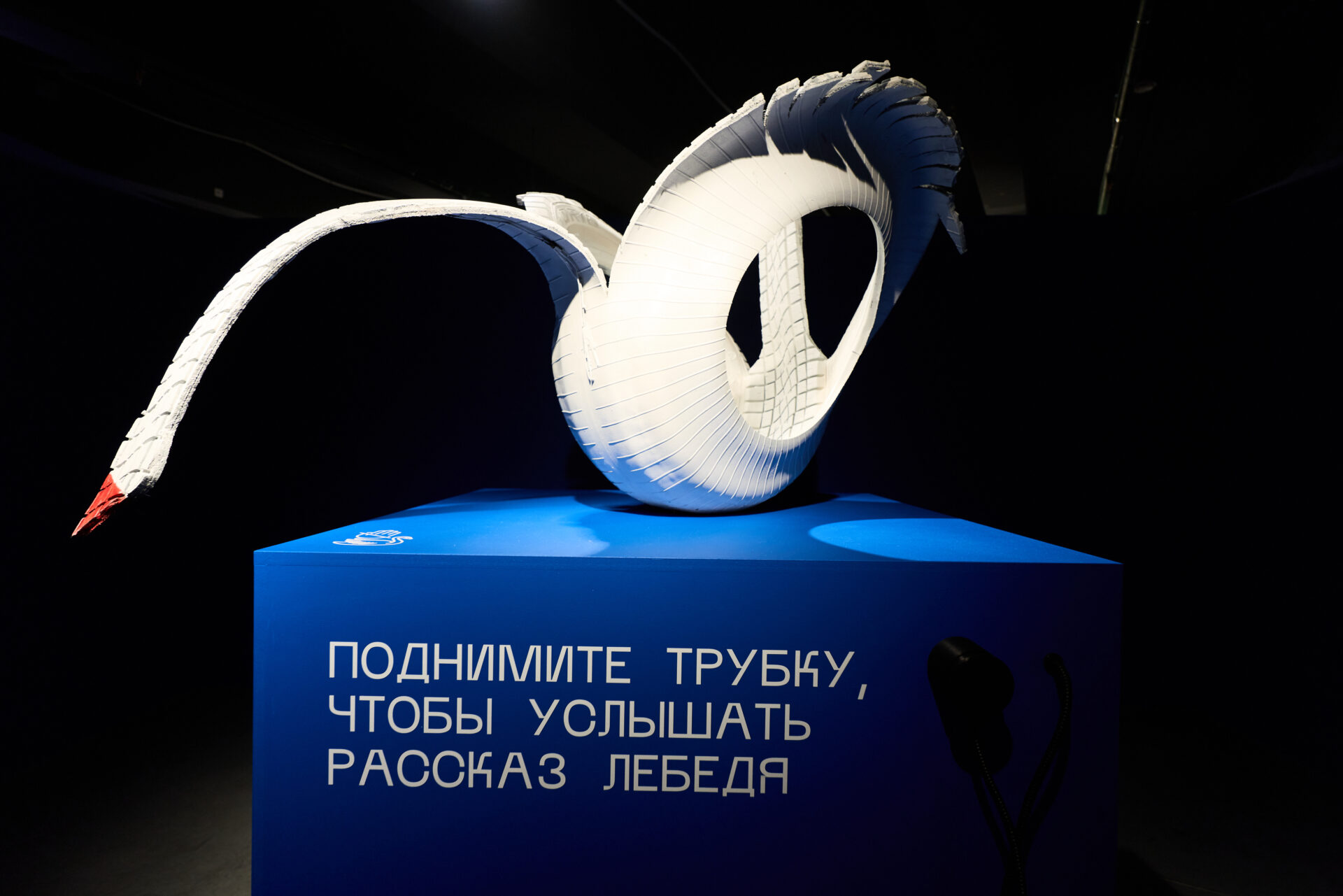 «Ученые дамы. Наука без разрешения» 
