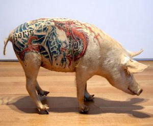Татуированные свиньи художника Вима Дельвуа