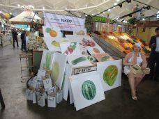 Морковь Культурная - перформанс Елены Ковылиной