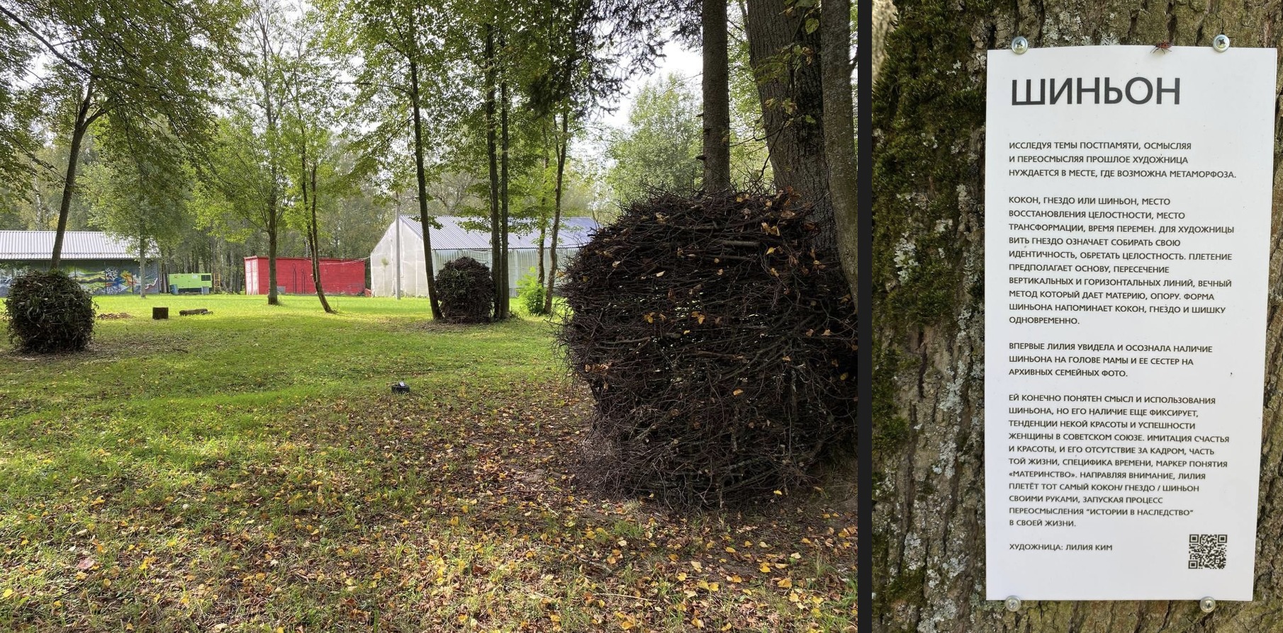«Белые Аллеи» 